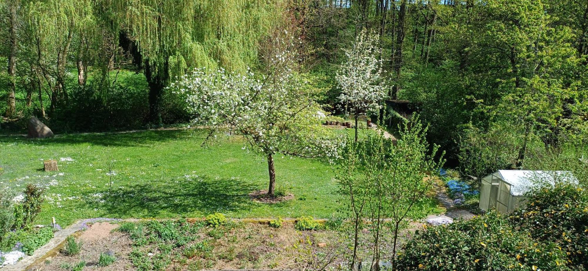 Wohnung In Medlitz Rattelsdorf Zewnętrze zdjęcie